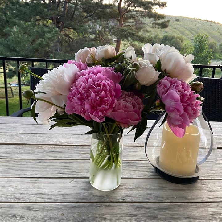 best peonies idaho farmers market